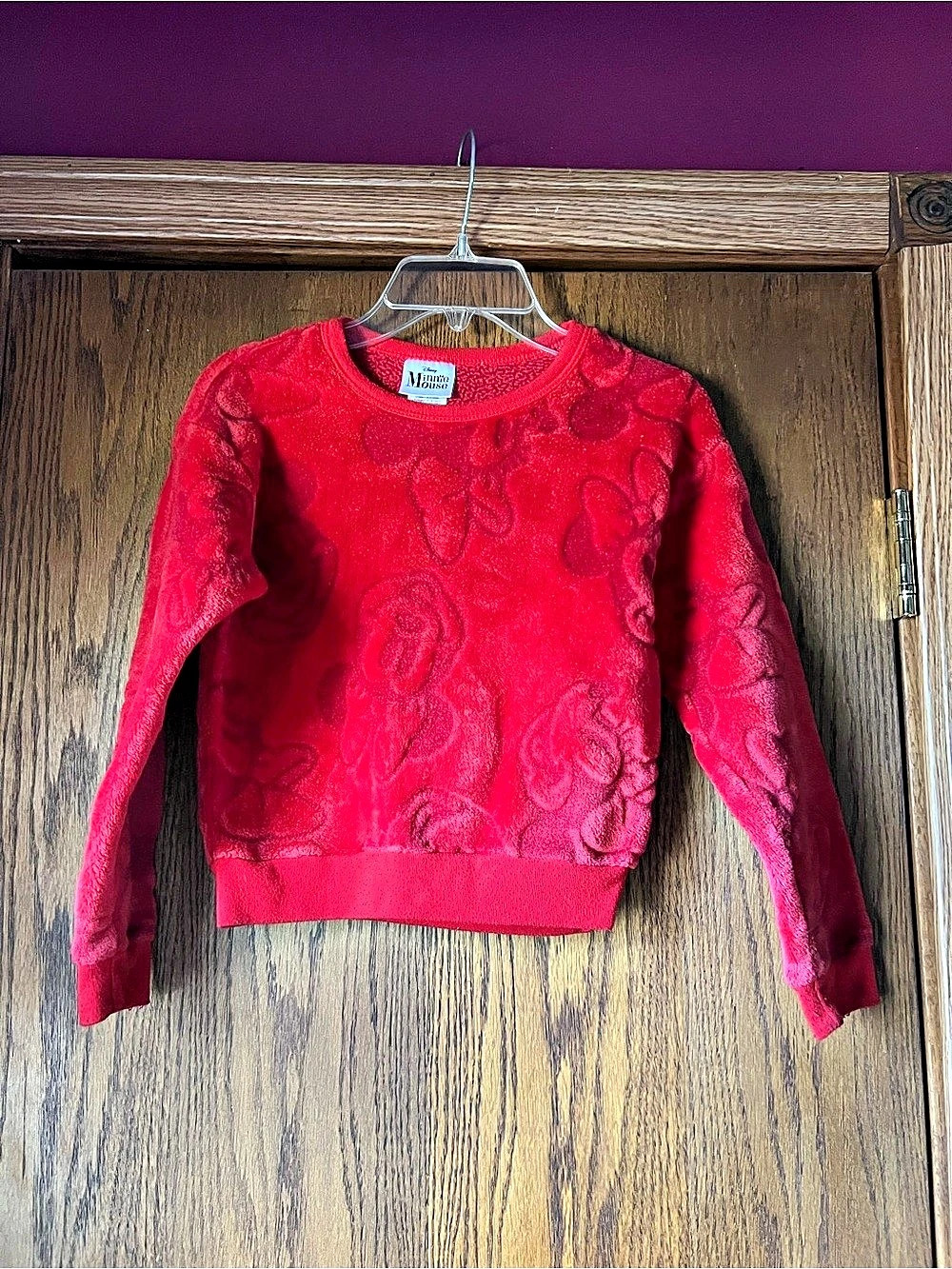Disney Minnie Mouse Fleece Sweatshirt in Red Girls Small (6-6X) C14